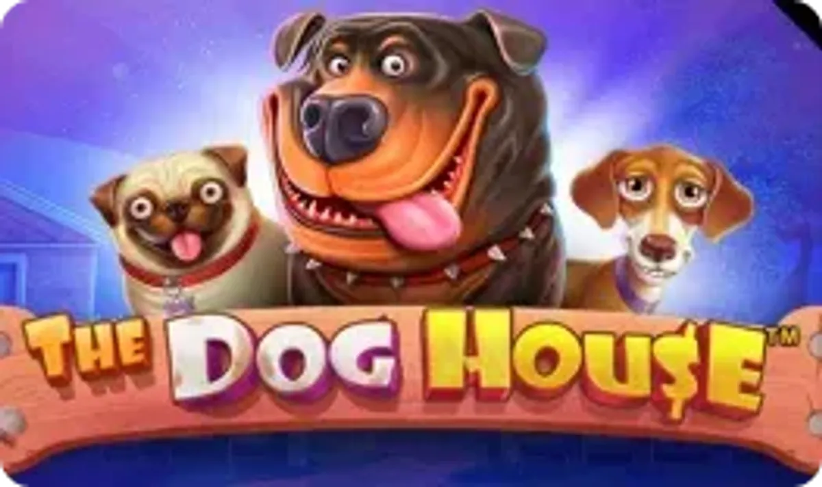 The dog house